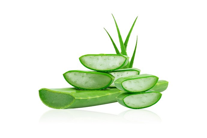 aloe vera fresh isolated very useful herbal medicine for skin care and hair 