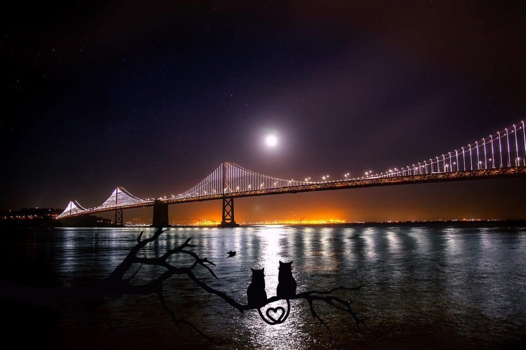 Come Far Innamorare un Uomo: 7 Rituali e Preghiere che Aprono il Cuore san francisco, oakland, bay bridge, water, reflections, moon, moonlight, port, night, eve, dark, landmark, historical, architecture, nature, lovely, hdr, cats, mood, atmospheric, light, in love, in love with cats, silhouette, branch, love, heart, romantic